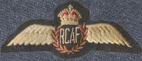 Pilots Wings